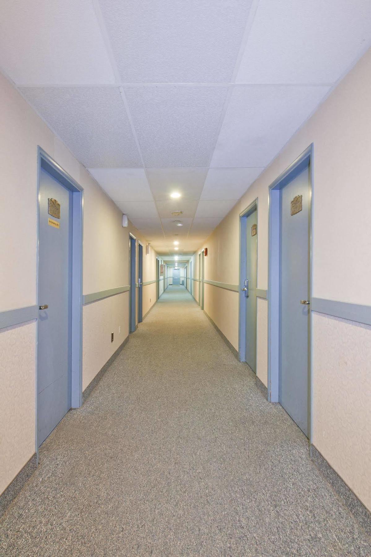 Springs Motor Inn Wainwright Dış mekan fotoğraf
